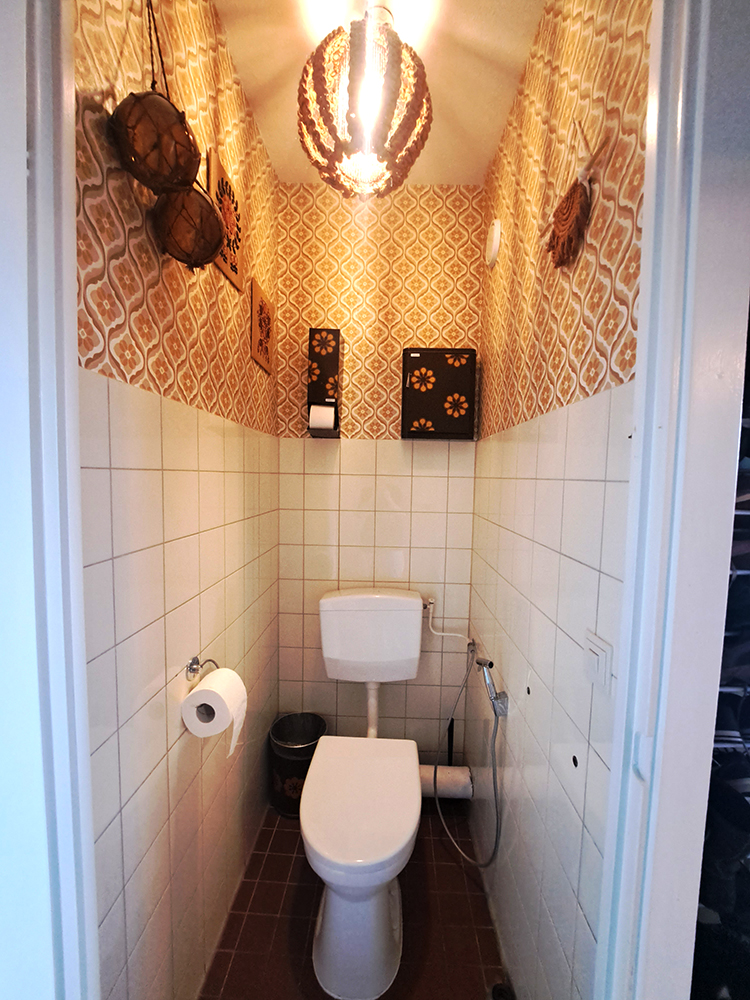 Toilet with retro 70's interior
